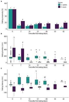 Patterns of Remating Behaviour in Ceratitis (Diptera: Tephritidae) Species of Varying Lifespan